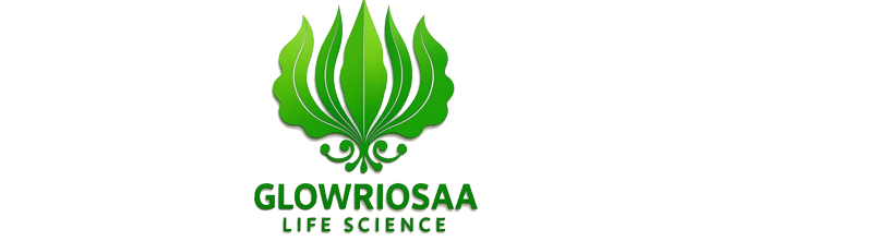 invena-logo